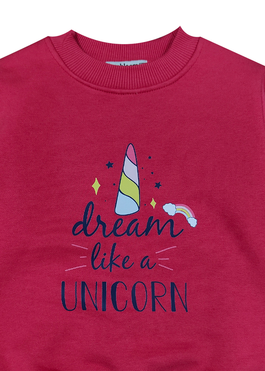 Bright Pink Unicorn Dream Print Warm Kids Fleece Sweatshirt Set